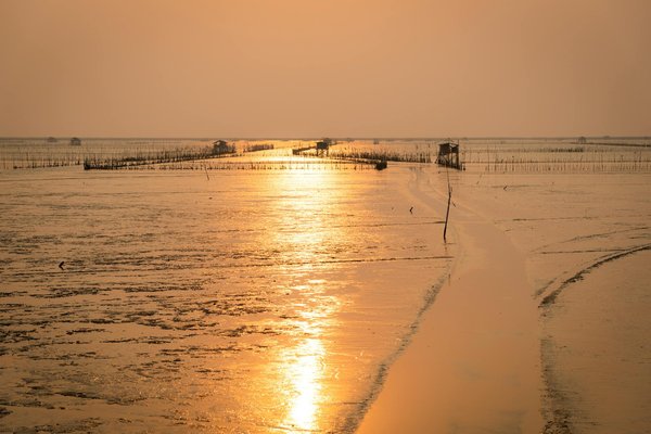 Camping arcachon : un séjour inoubliable au bord de l'eau !